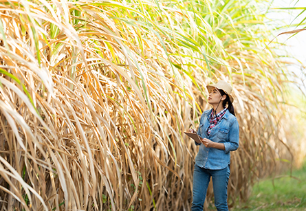 72-networks-data-shows-that-the-growth-of-rural-india-creates-a-new-fulcrum-of-opportunities