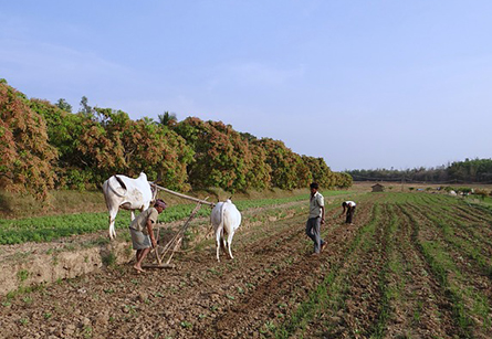 data-shows-that-the-growth-of-rural-india-creates-a-new-fulcrum-of-opportunities-72-networks